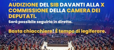 sib-audizione-camera-dei-deputati-2023